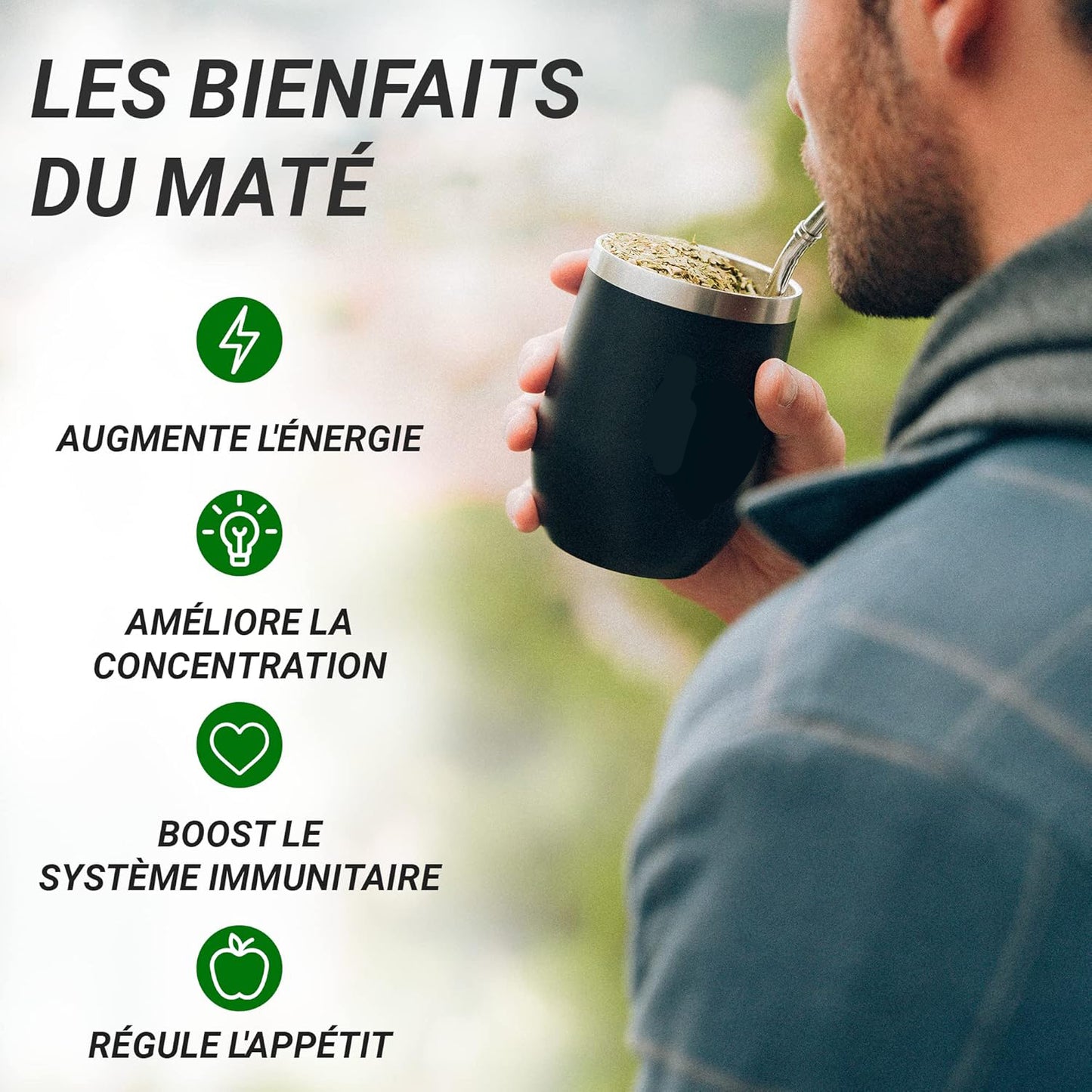 Thé YERBA MATE