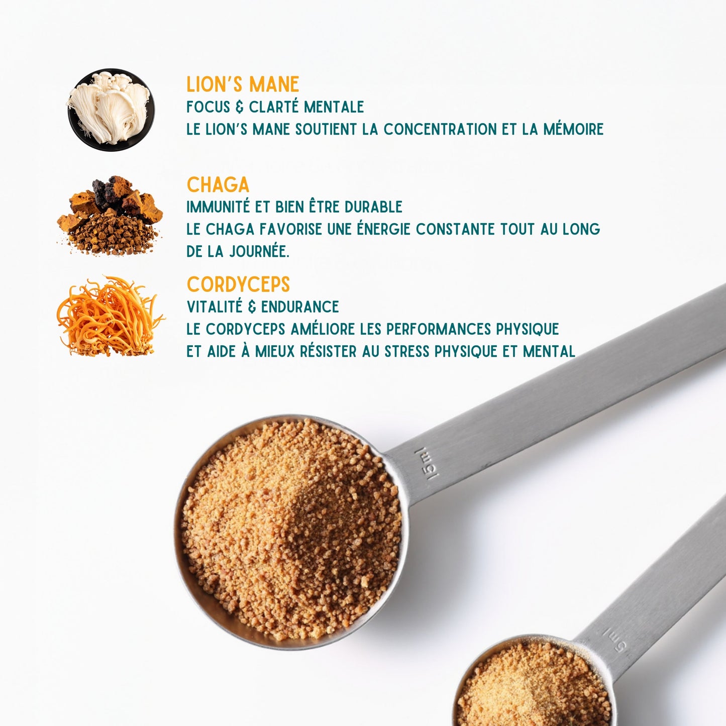 Fungi – Café nouvelle génération aux champignons adaptogènes