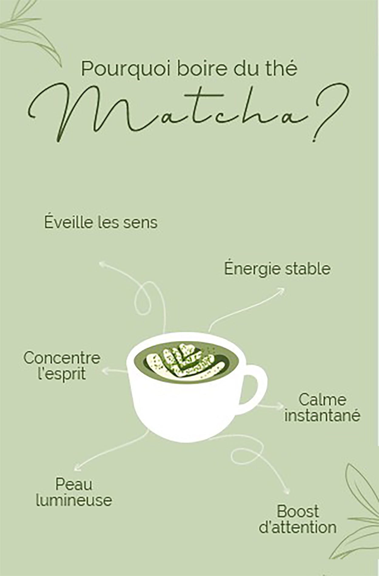 THE MATCHA CEREMONIAL GRADE
